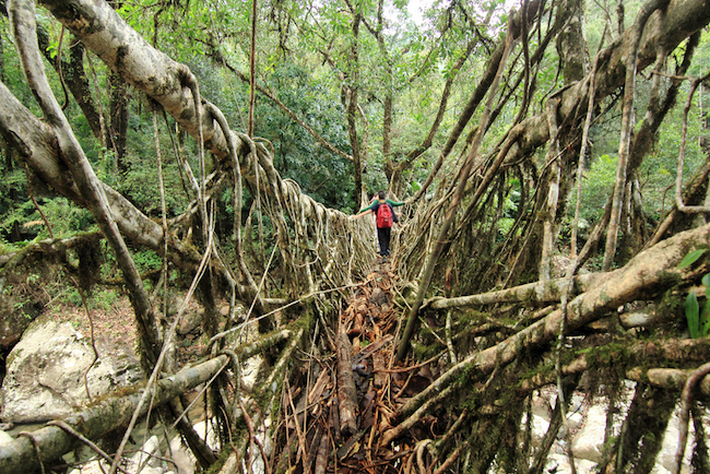 northeast india, travelling in northeast india, meghalaya