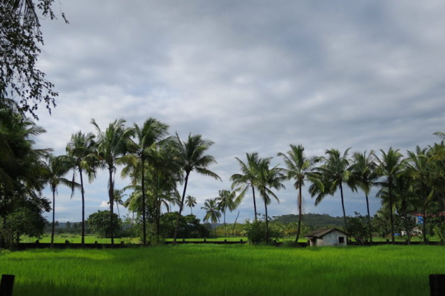 Goa zur Regenzeit Indien