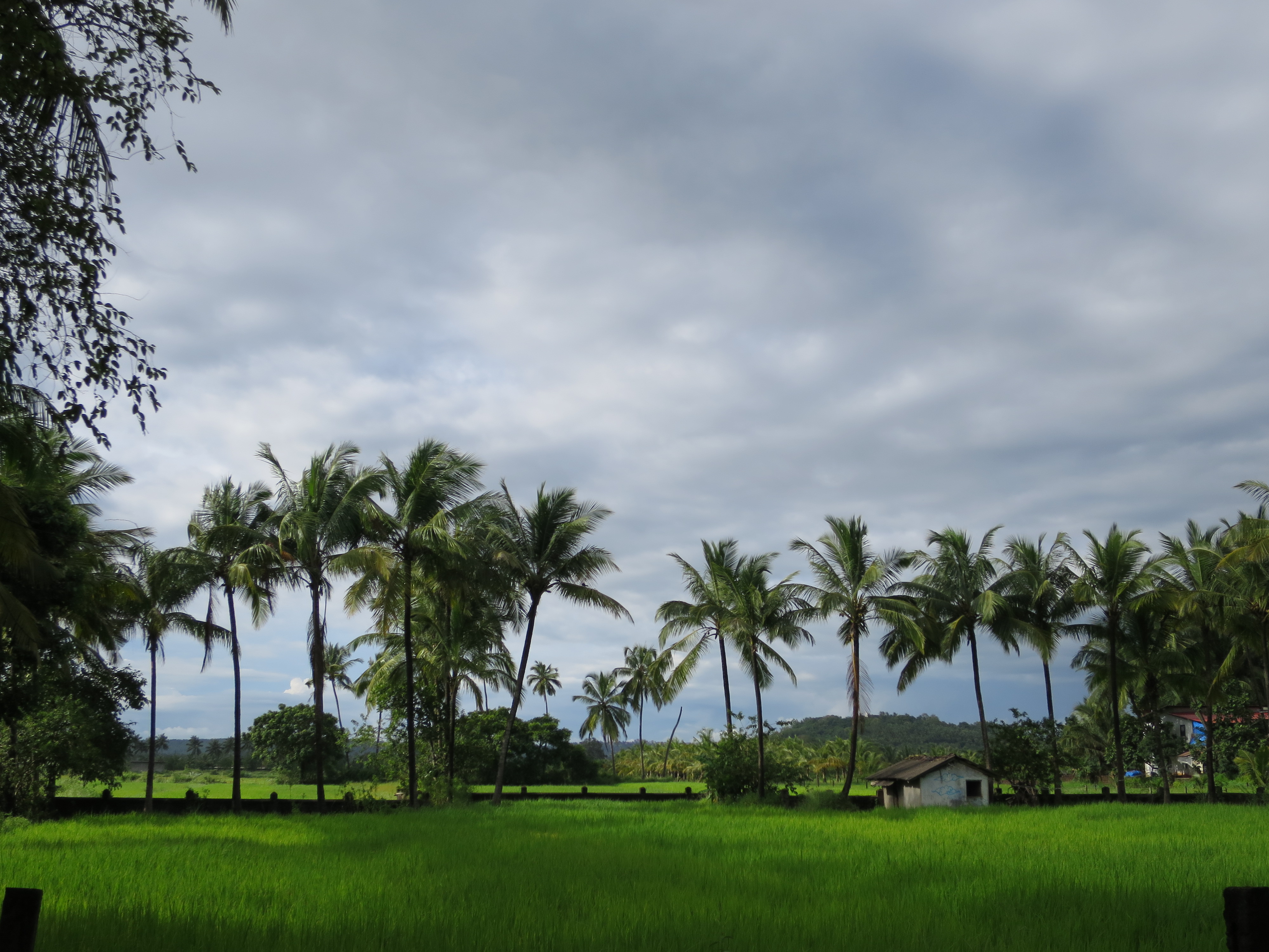 Kerala in May