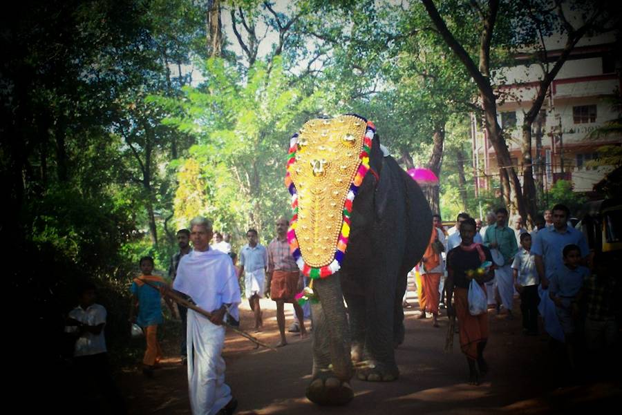 Beste Reisezeit in Indien 