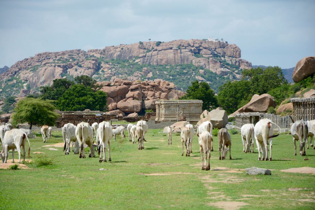 Hampi-Tempel-Kuehe