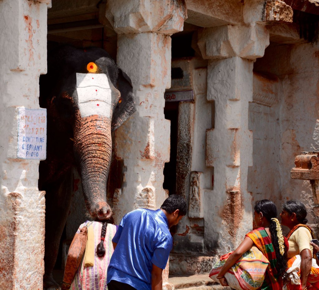 Hampi-Virkupaksha-Lakshmi