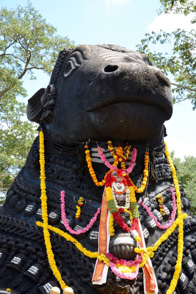 Mysore_Nandi