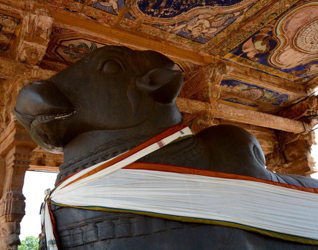 Thanjavur-Nandi