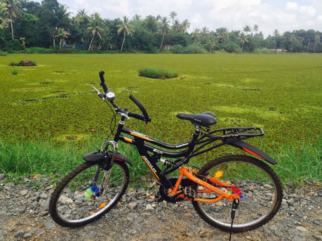 Backwaters_Bike