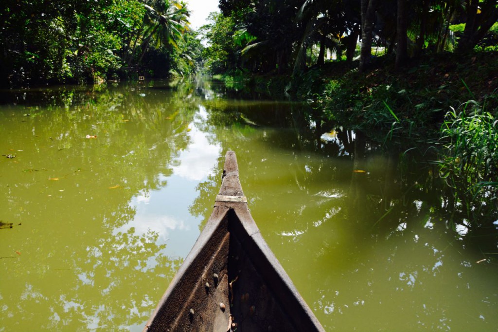 Backwaters_Canoeing