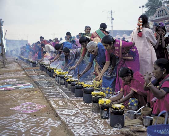 festival de pongal