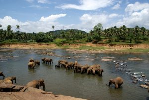 Sri Lanka