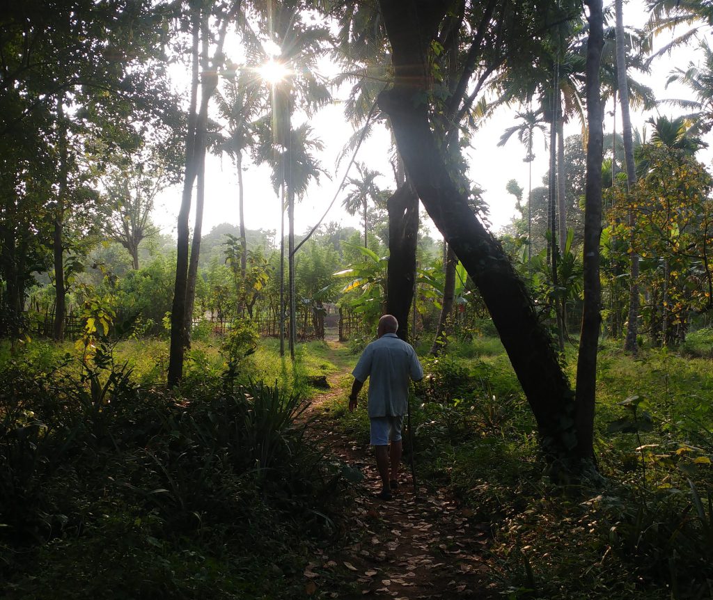 Nachhaltiges Homestay in Goa - Biohof in Goa