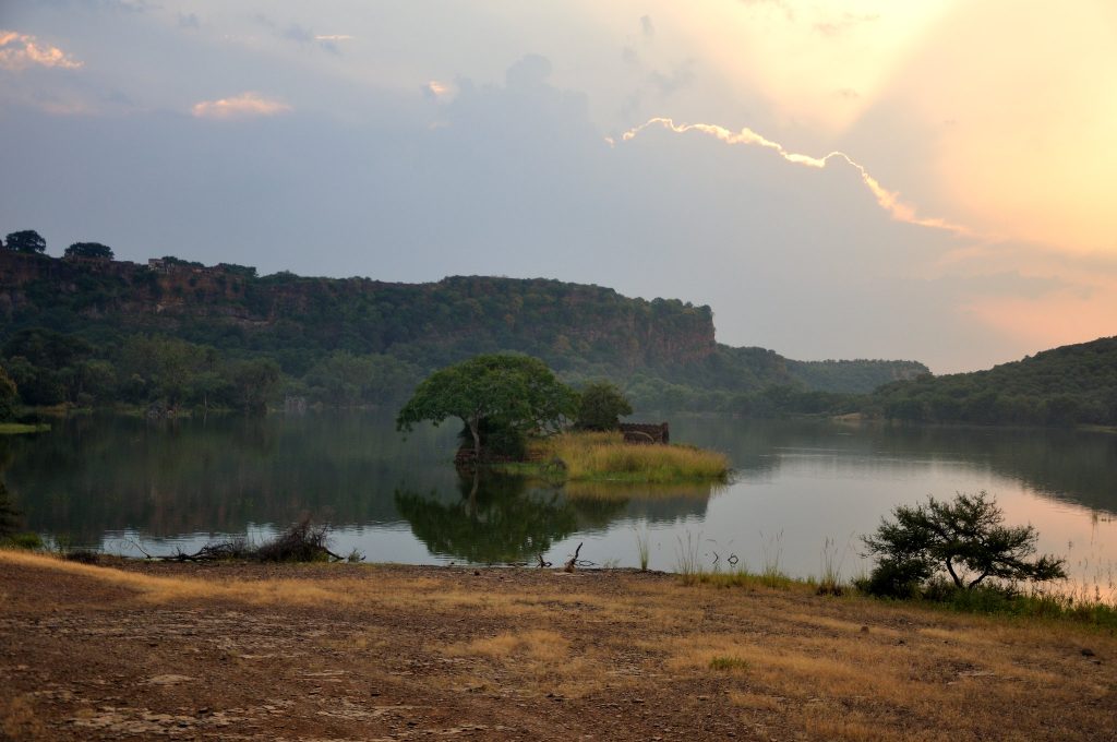 Ranthambore National Park India