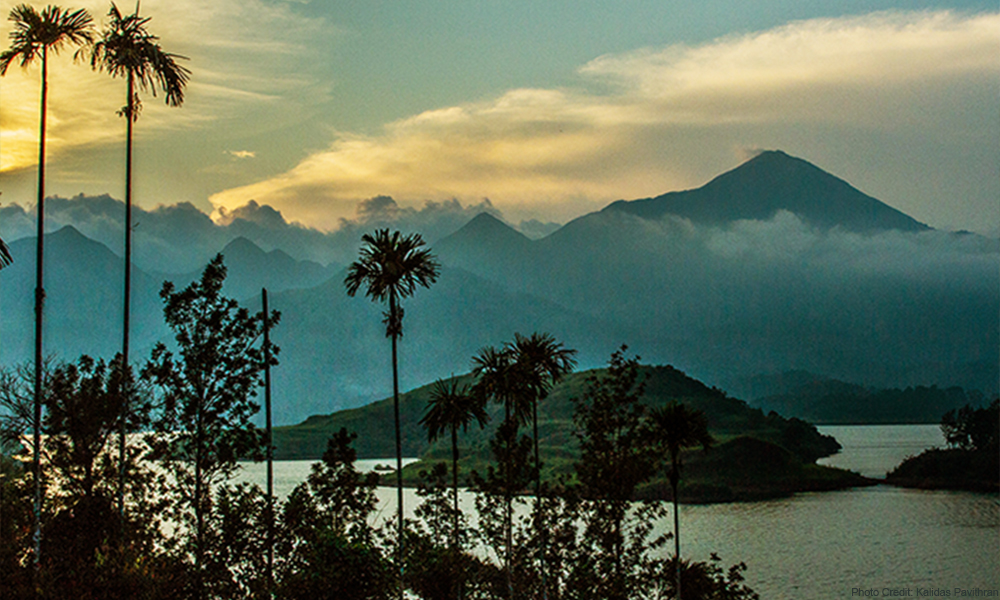 The beautiful landscapes of Wayanad.