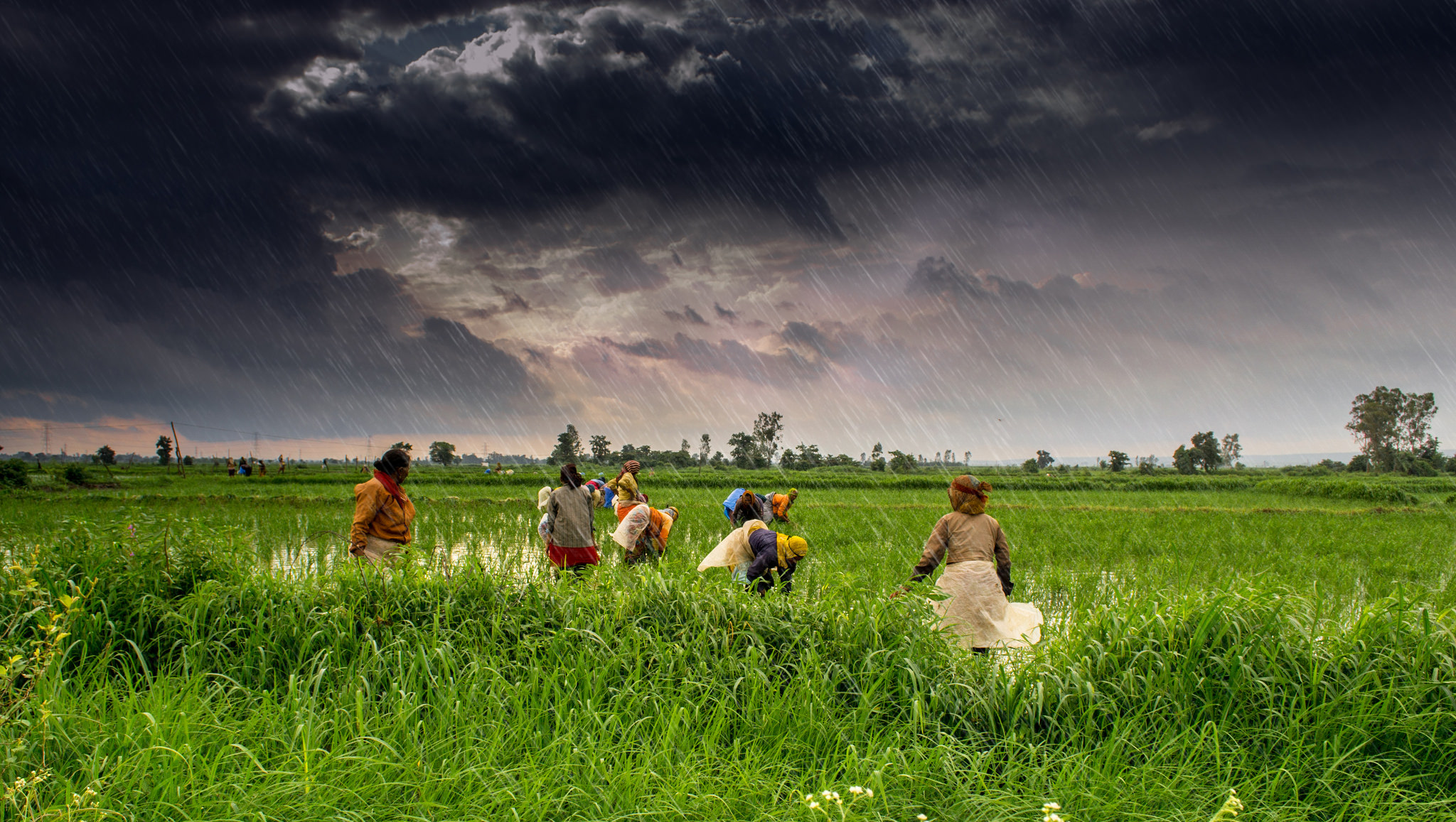 Monsun in Indien