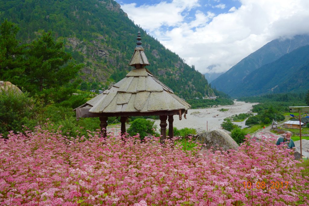 OÙ ALLER EN INDE - HIMALAYA