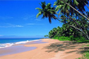 Goa Agonda India