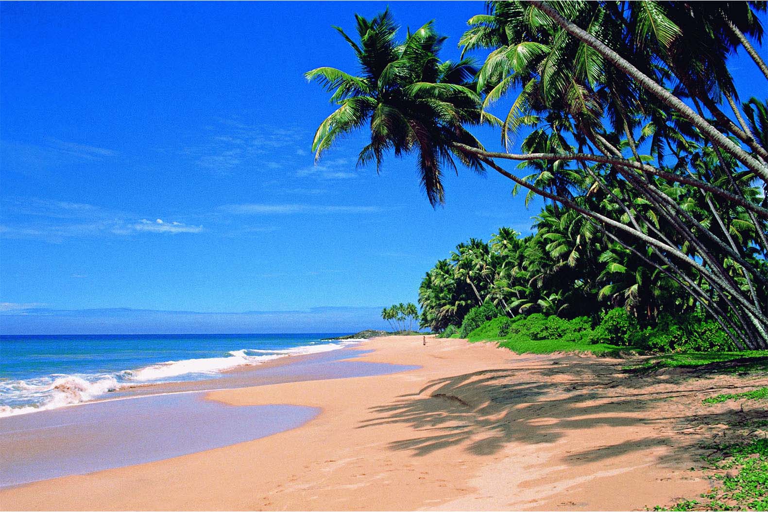 Agonda-Beach