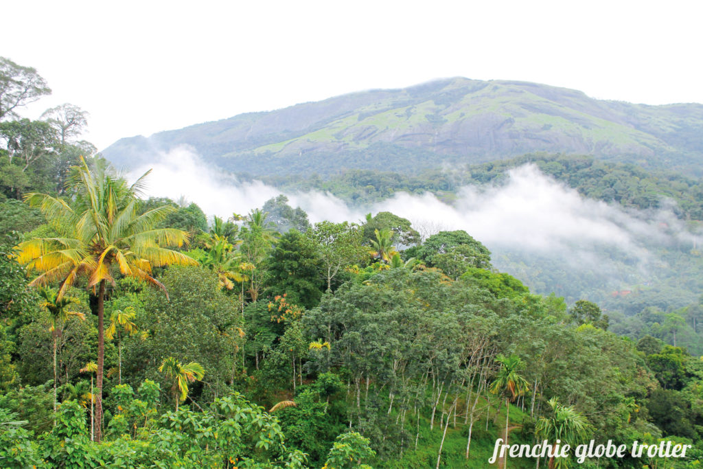 Munnar in the Western Ghats is famous for its tropical mountain climate as well as the tea plantations. A great destination even in the rain!