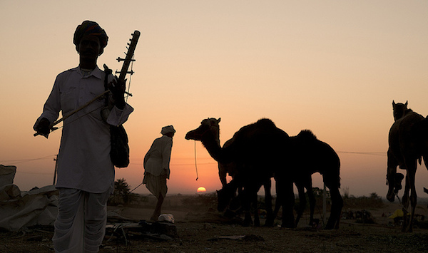 india during the festival season