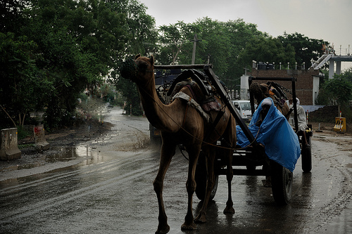 clima en india